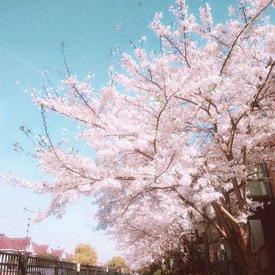 操盘必读：影响股市利好或利空消息_2026年3月26日_财经新闻